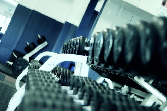 Fitnes a posilovňa